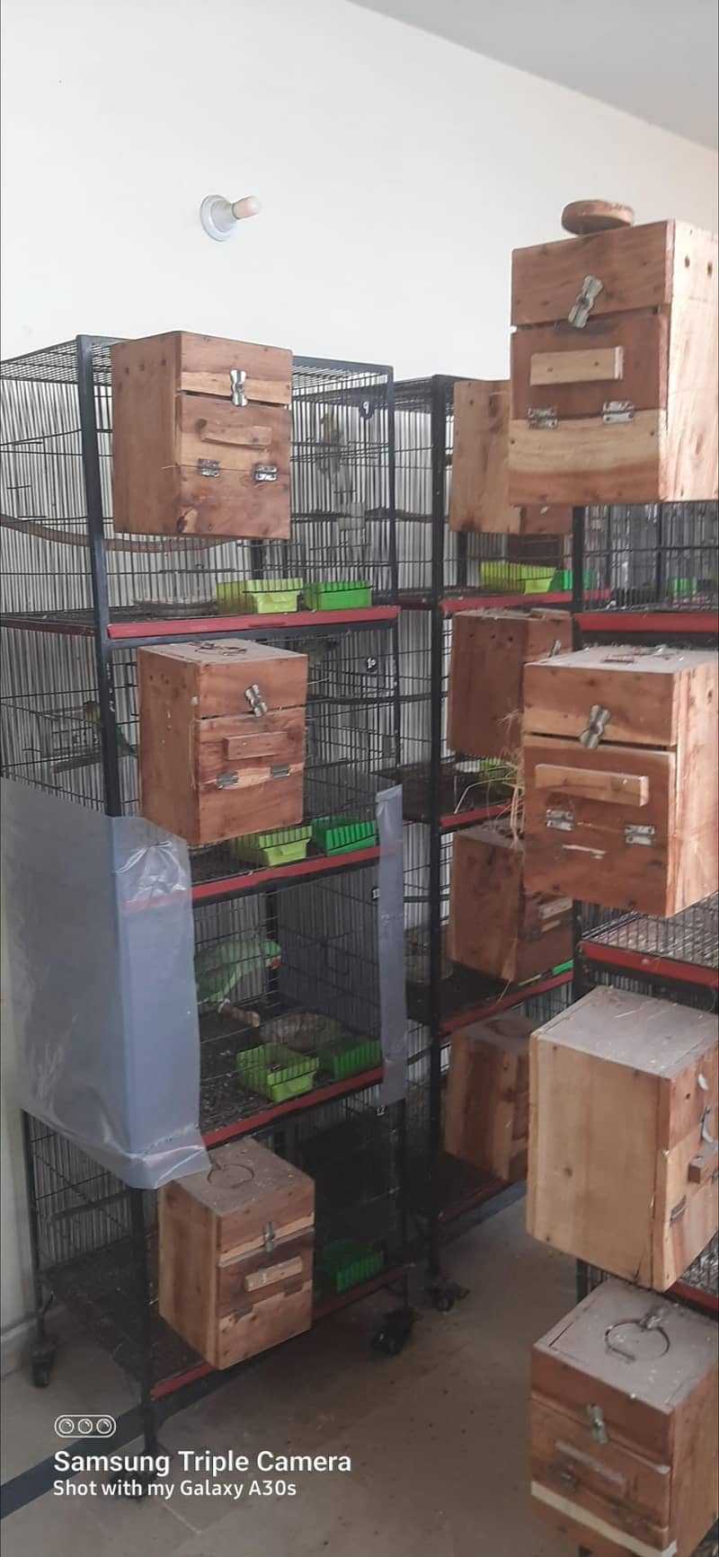 cages 0