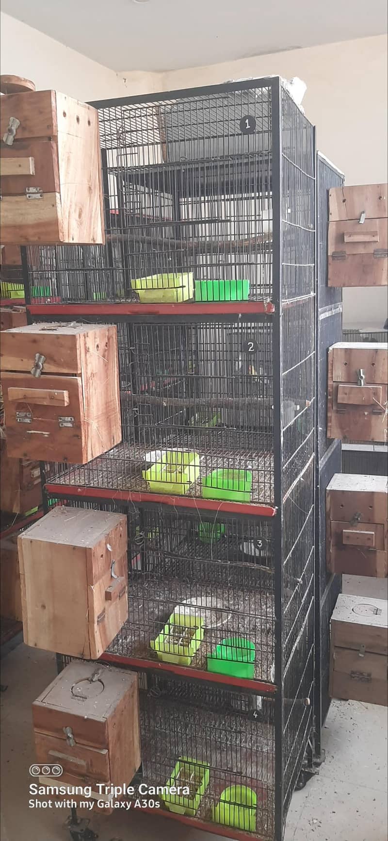 cages 1