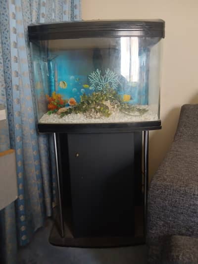 Fish aquarium