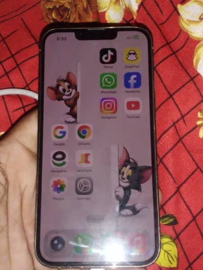 Apple iPhone 13 Pro