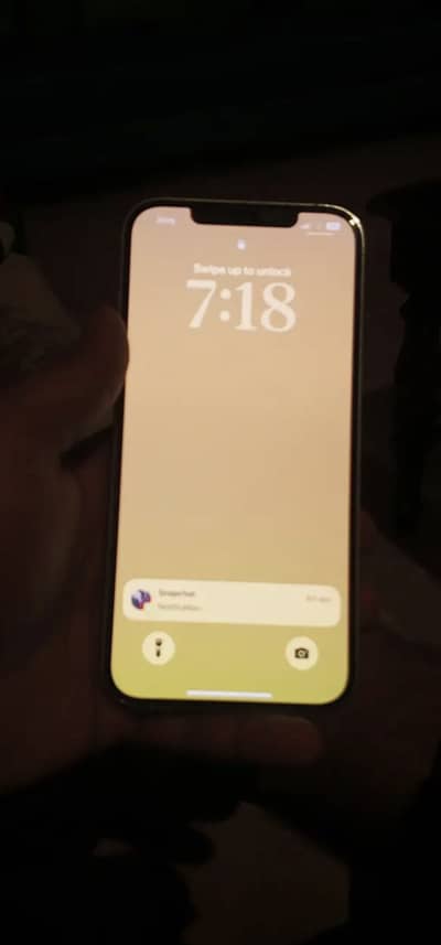 iPhone 12 Pro Max pta