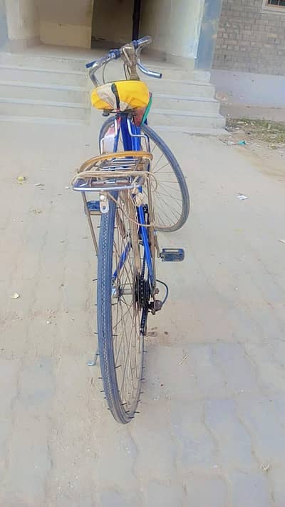 sports bycykle
