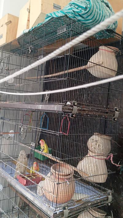 foldable cage