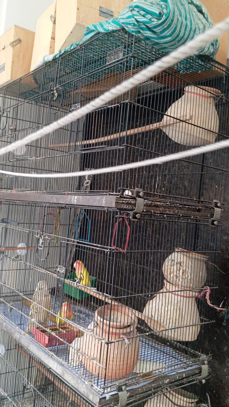 foldable cage 0