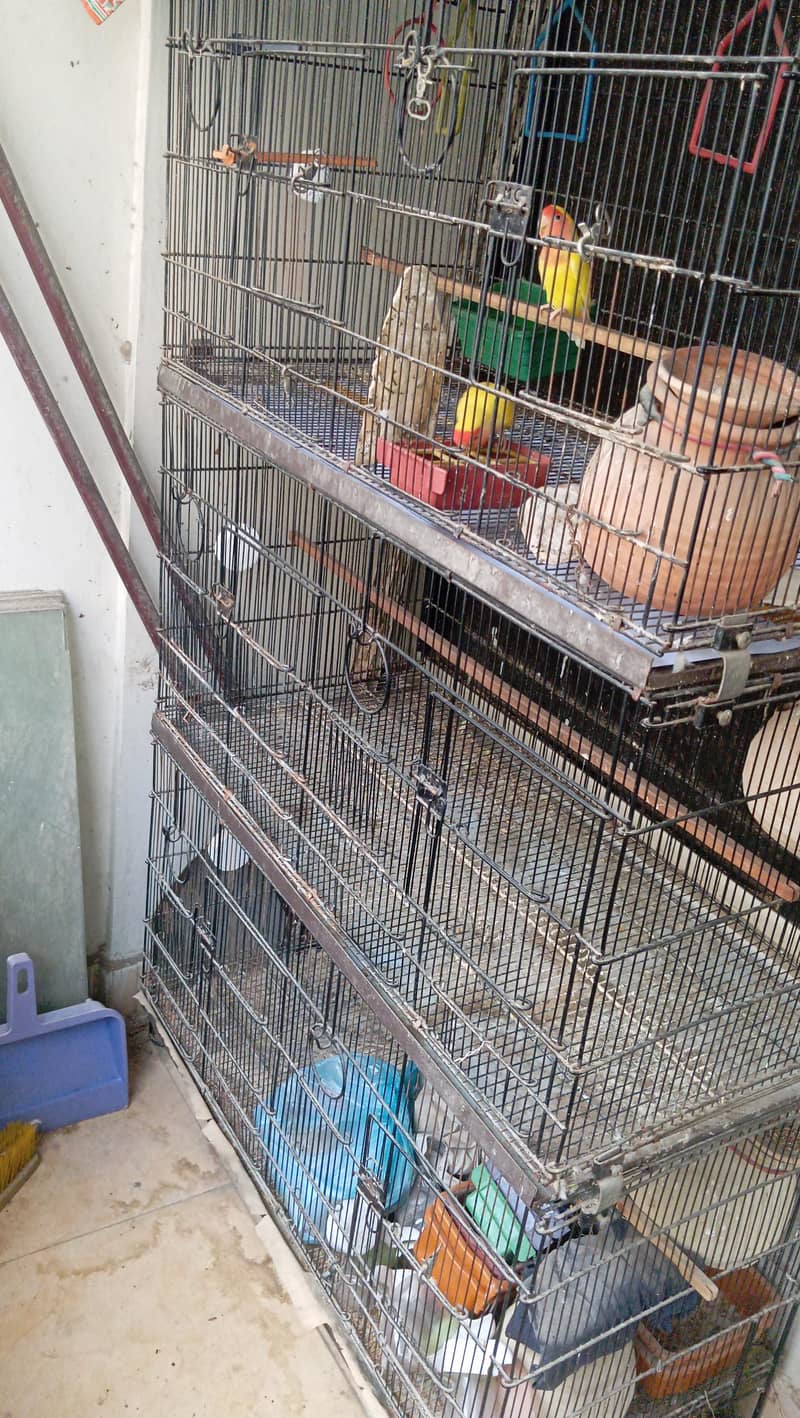 foldable cage 1