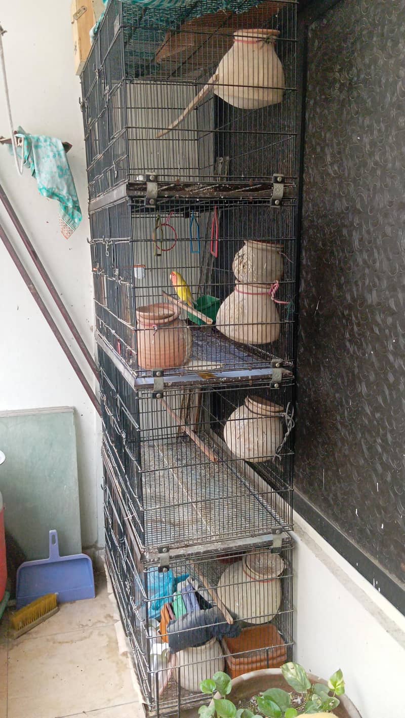 foldable cage 2