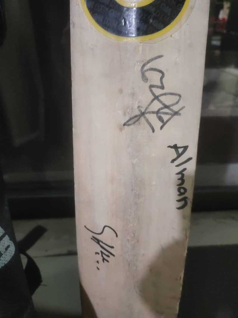 cricket 2
