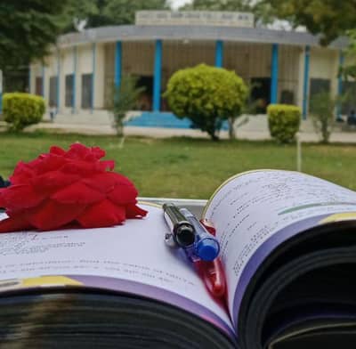 A+ Assignment Writing | From 300 Rs Only | 24H Delivery