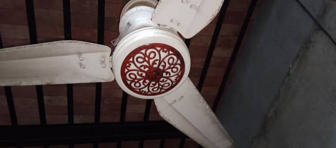 Royal fan Ac/DC 12 volt