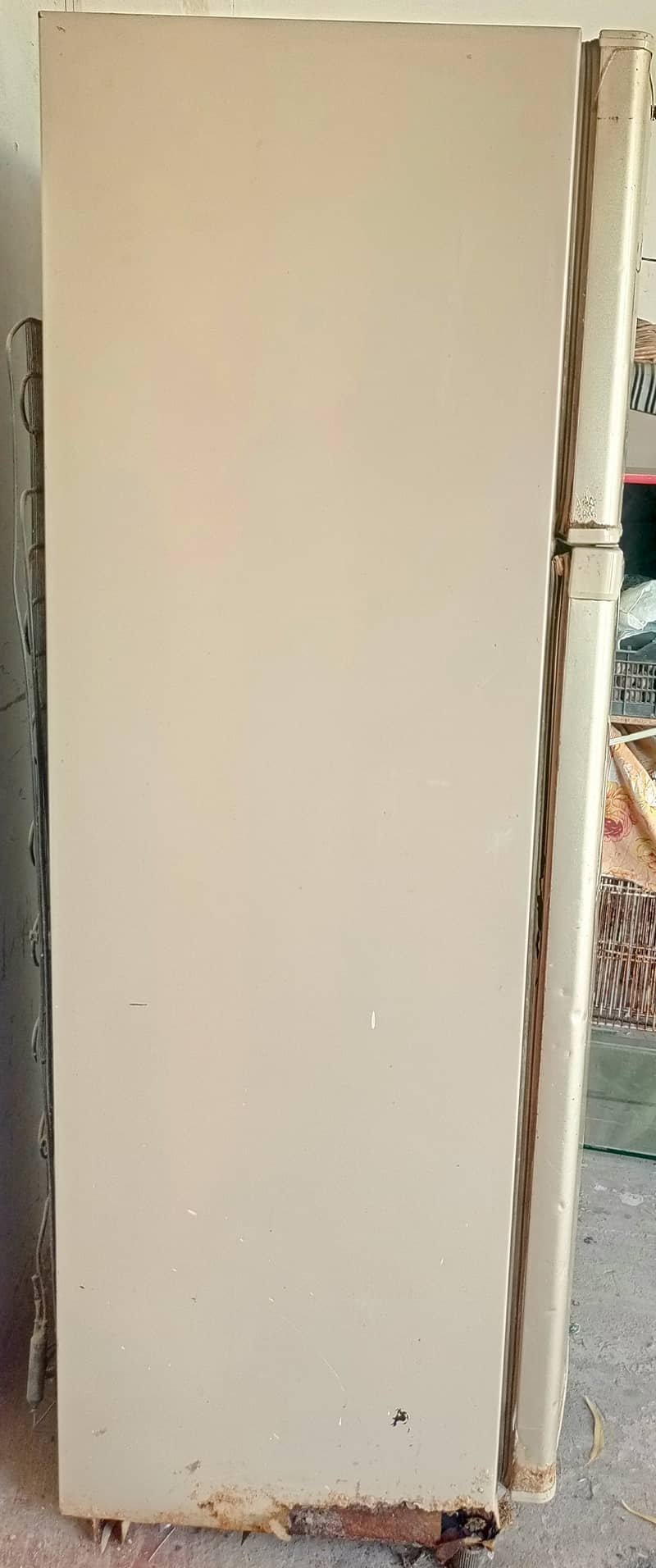 Fridge 1