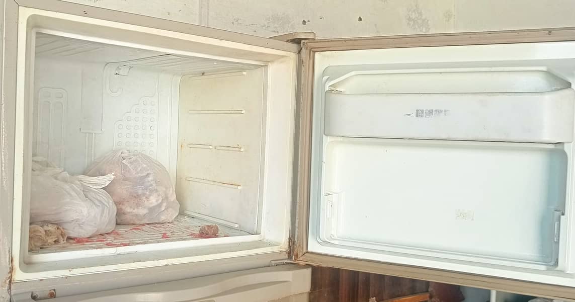 Fridge 3