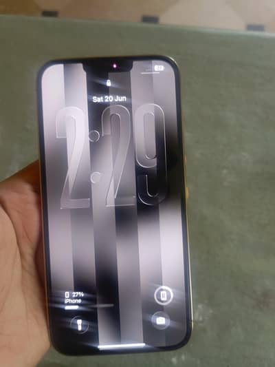 Apple iPhone 13 Pro Max
