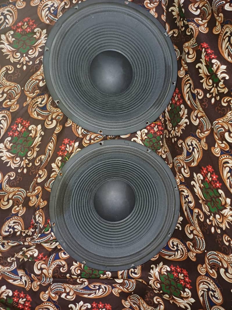 speaker 1