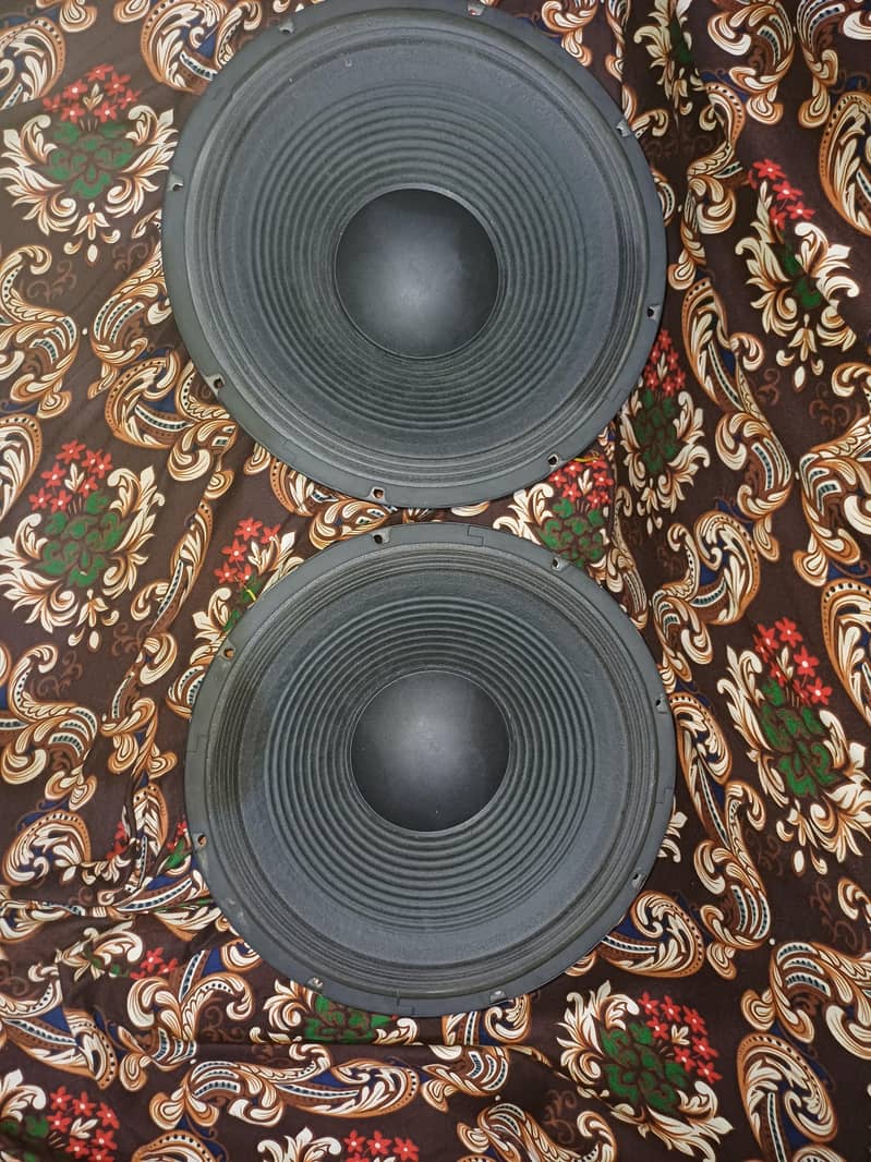 speaker 4