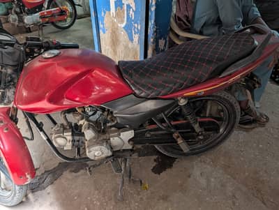 super power cheetah 110 2018