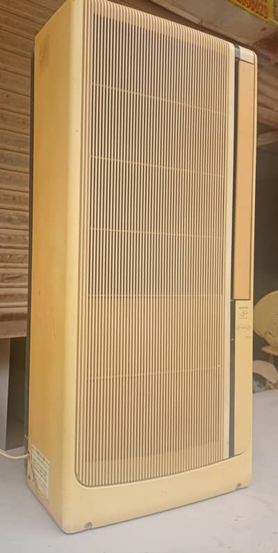 AC protable 110