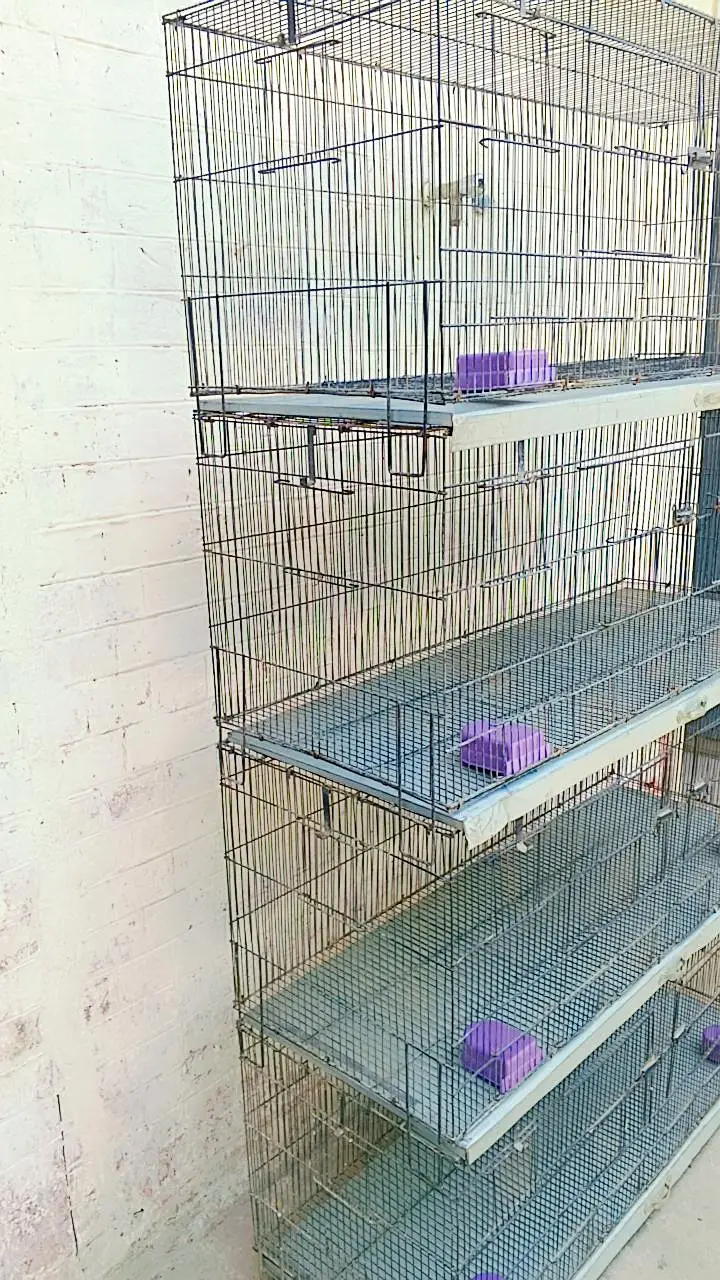 8 portions folding cage for sale size 4*1.5*1.5 eaxh portion — photo 2