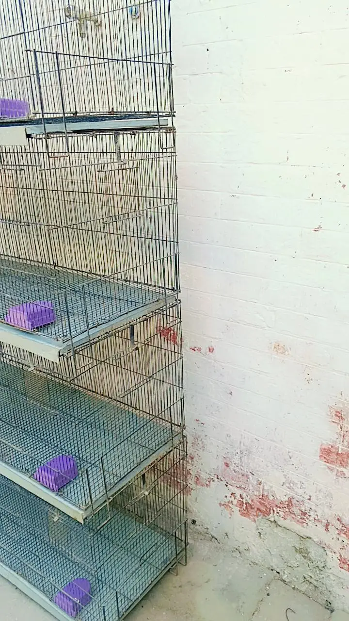 8 portions folding cage for sale size 4*1.5*1.5 eaxh portion — photo 3