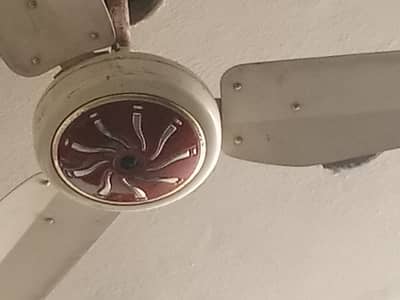 Royal fan for sale all okay no any issues
