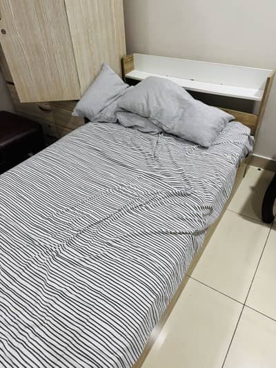 Single Bed With Master Celeste Spring Mattress DHA