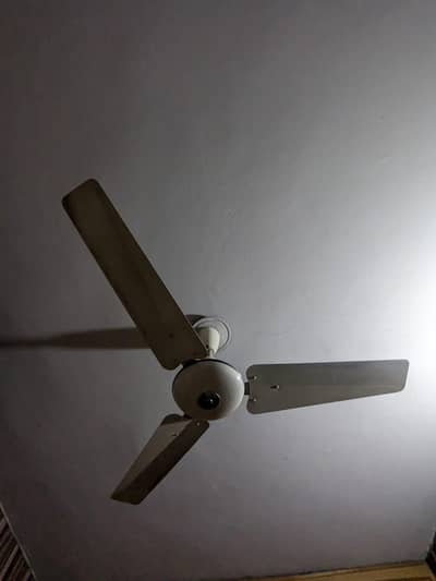 Fans for sale