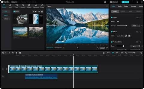 Professional Video Editor & Social Media Manager Available