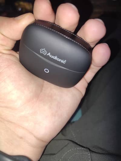Airbud 740 ION with ANC  OR ENC QUARD