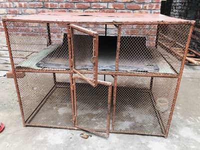 Cage urgent Sale