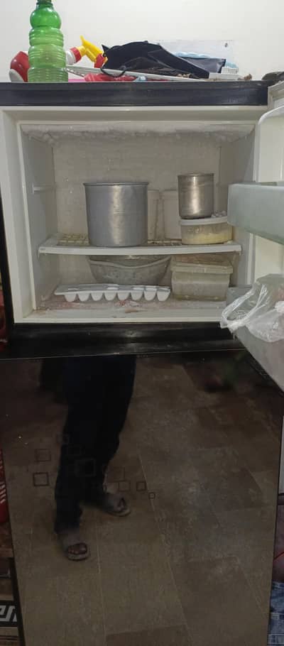 PEL Refrigerator Glass Door