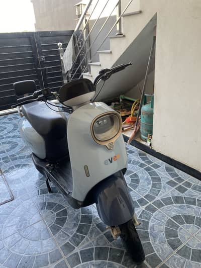 Evee Nisa for sale