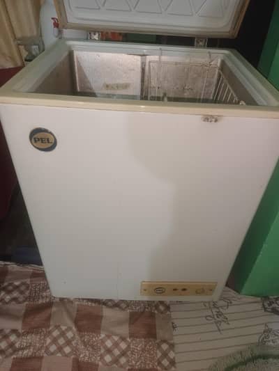 Pel Single Door Deep freezer