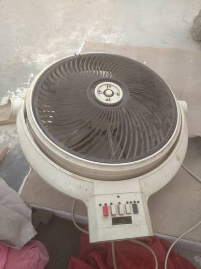 Royal fan