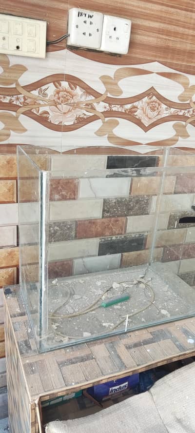 Fish Aquarium for decoration