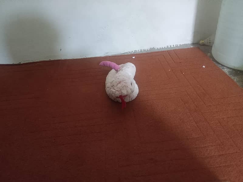 snake toy 2