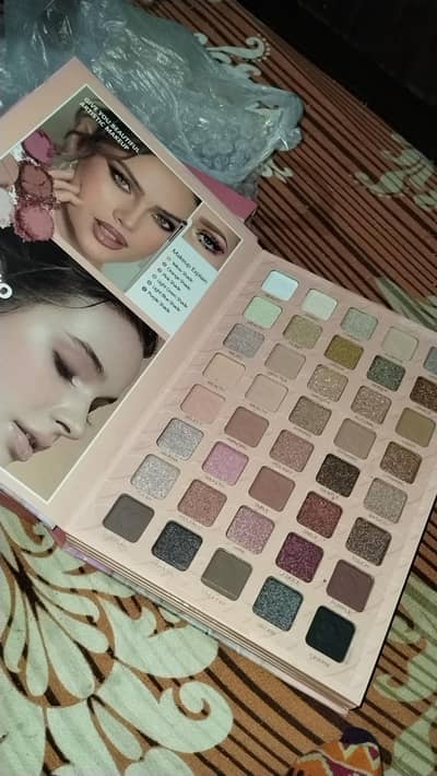 Brand new eye shadow blushes  big book.