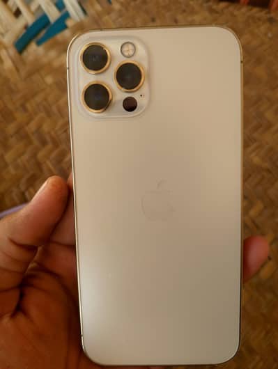 Apple iPhone 12 Pro