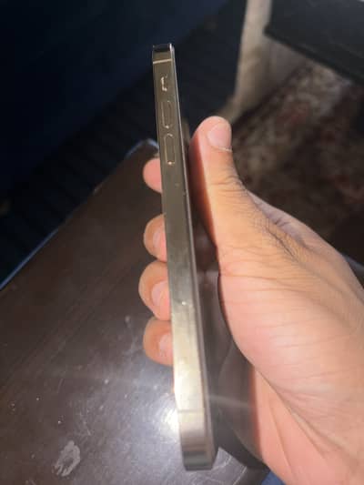 iPhone 12 Pro pta approved