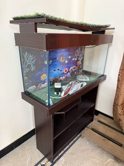 Urgent Sale Aquarium