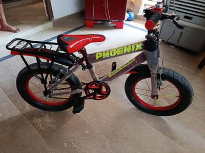brand new cycle for sale