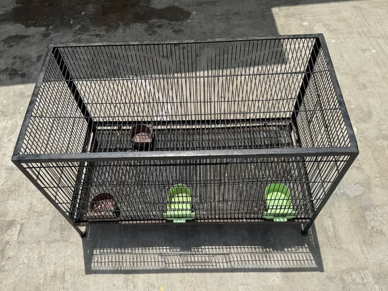 Raw cage 0