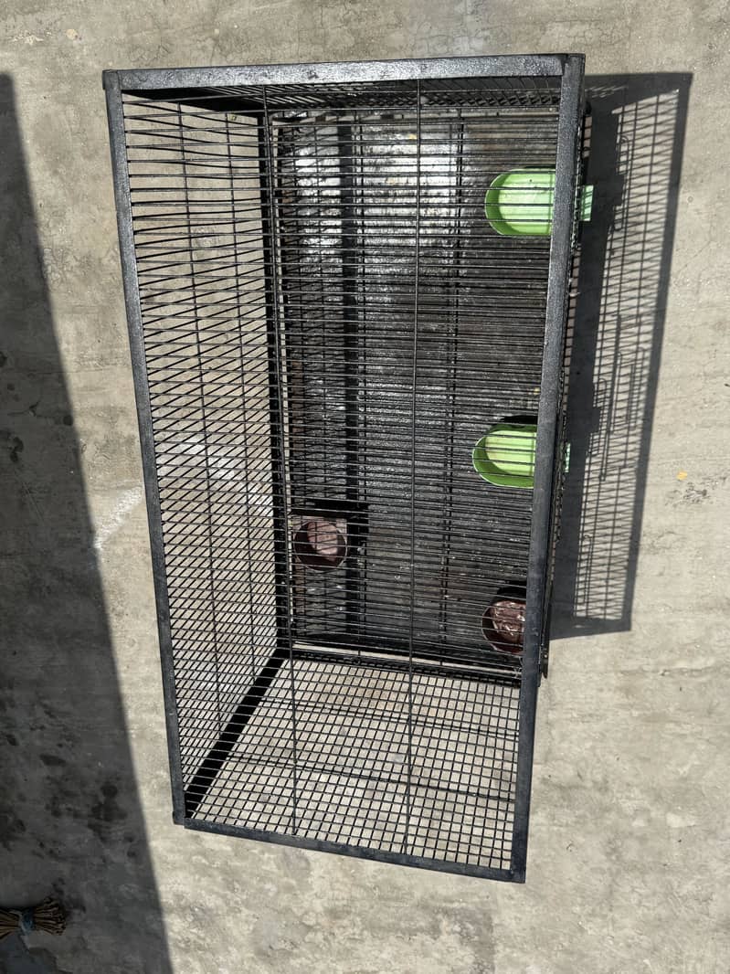Raw cage 1