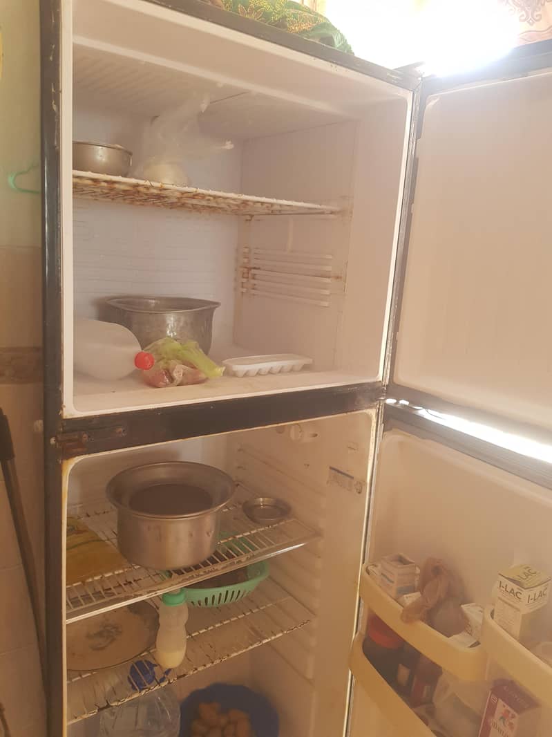 fridge 1