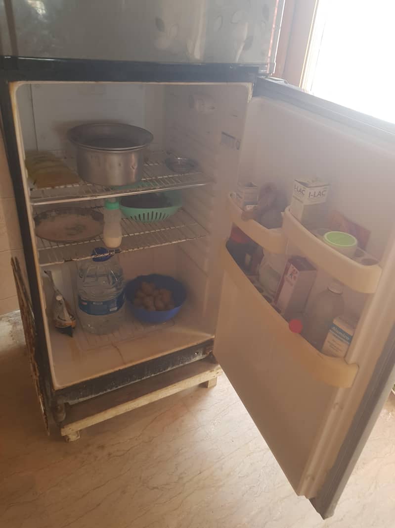 fridge 2