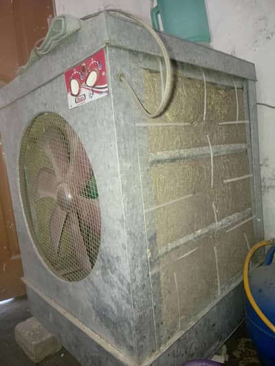 Lahorei cooler
