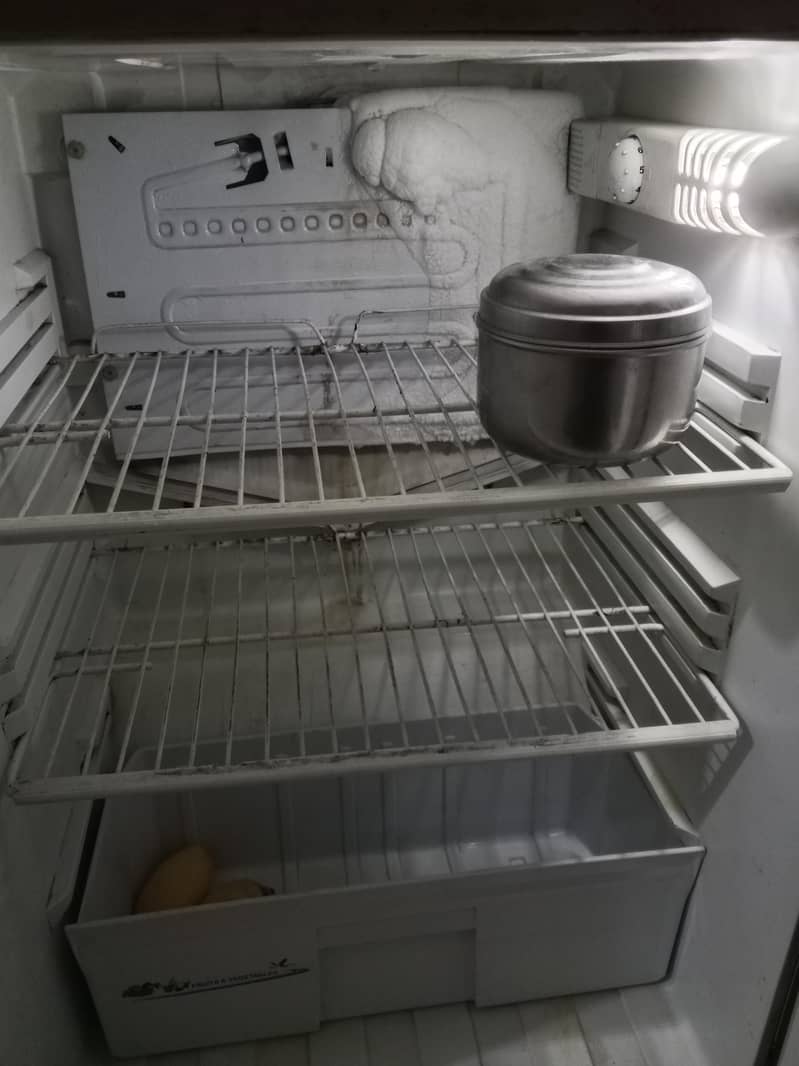 refrigerator 1
