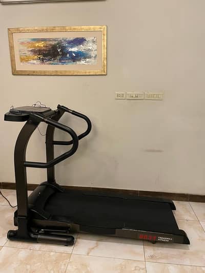 Motorized Treadmill (Model 8631)