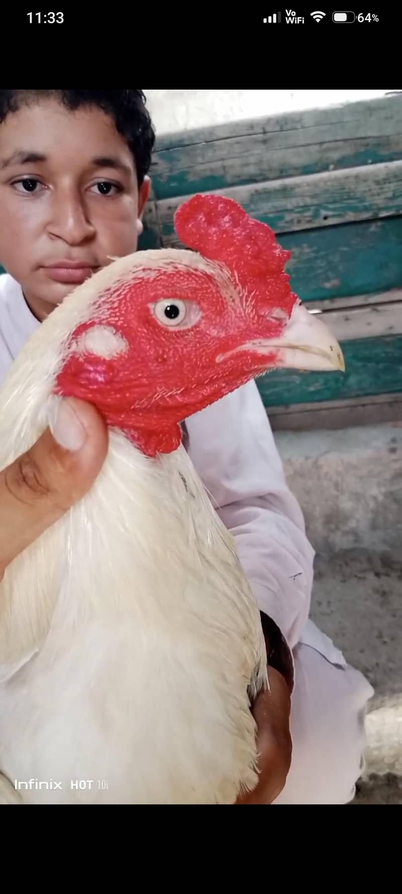 heera 6