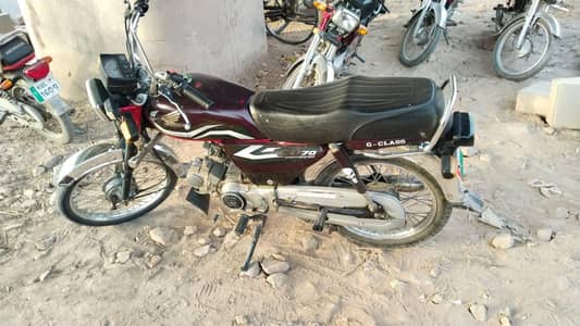 CD 70 FULL FRESH 2023 & 2024