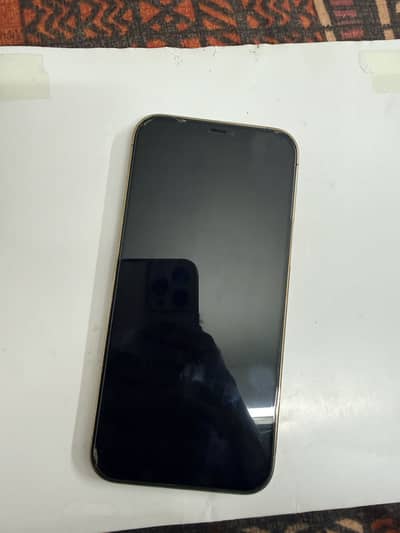Apple iPhone 12 Pro Max