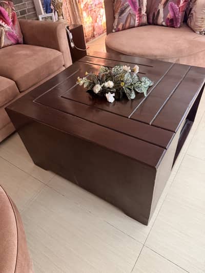 Original 100% Diyar Wood Coffee Table